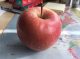 Rött äpple på skrivbord